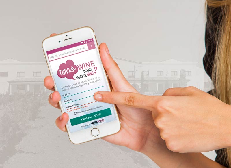 desarrollo web y juegos a medida Pixel Innova