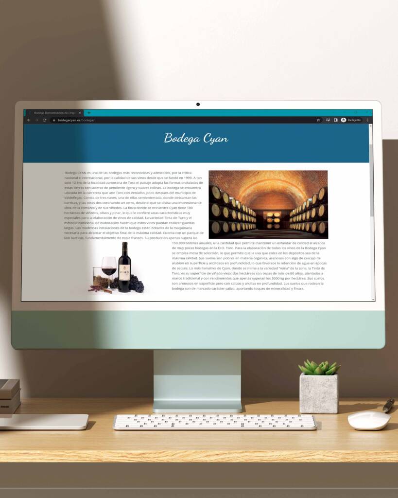 Web para Bodega Cyan