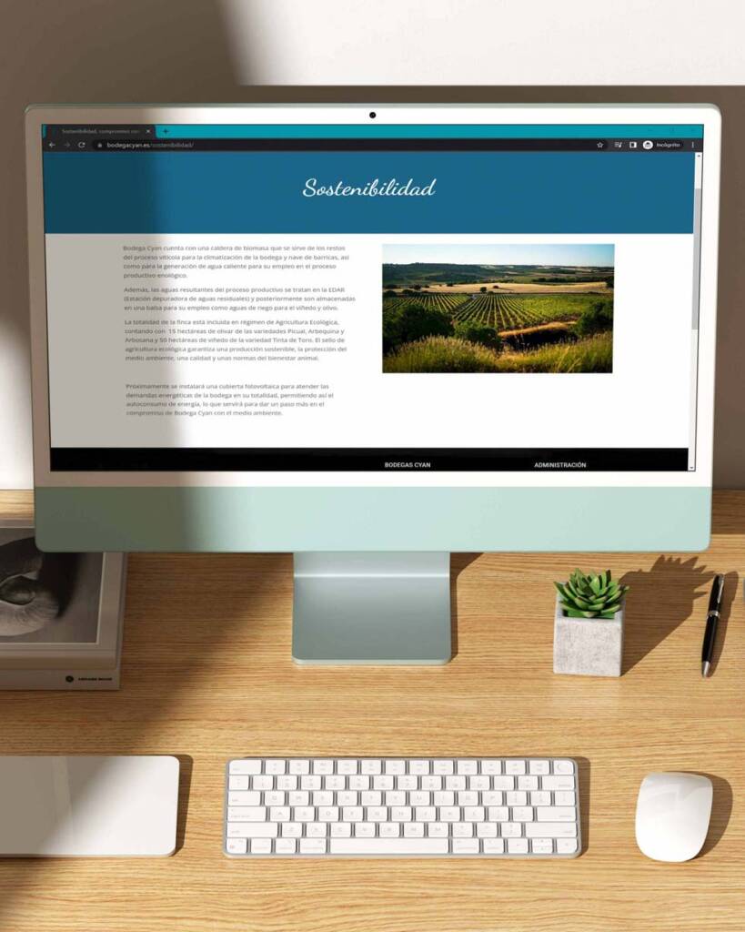 Web para Bodega Cyan